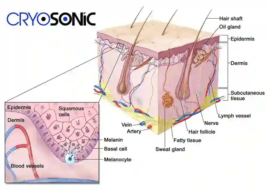 How Cryotherapy Stimulates Melanocyte Activity  Guildford